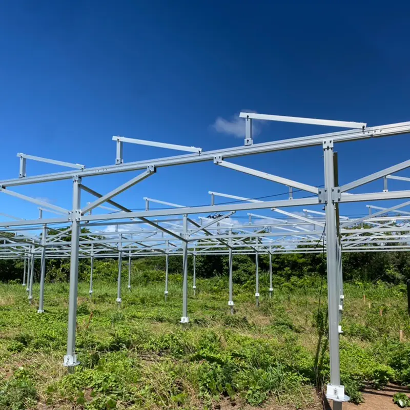 Solar Farms: A zöld energia jövőbeli csillagai