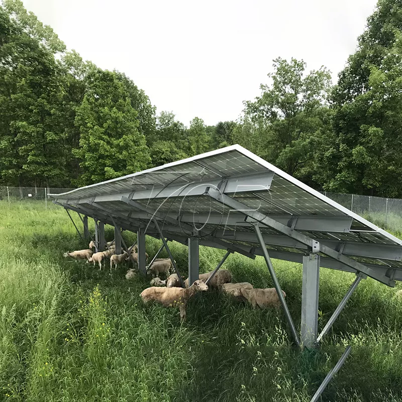 Napelemek a gazdaságokhoz: Segíteni a mezőgazdasági energia fenntarthatóságát magasabb szintre!